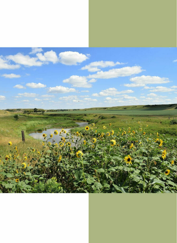 North Dakota Landscape